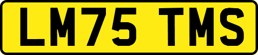 LM75TMS