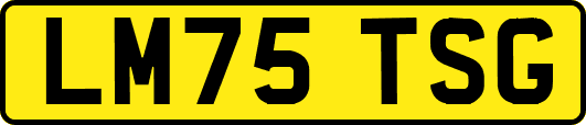 LM75TSG