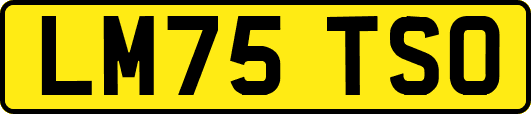 LM75TSO