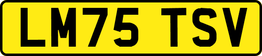 LM75TSV