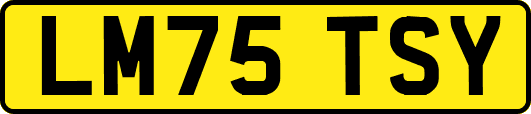 LM75TSY