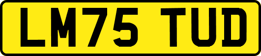 LM75TUD