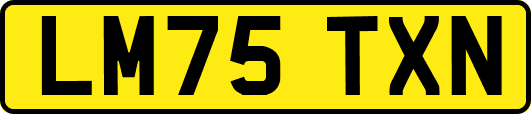 LM75TXN