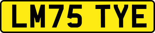 LM75TYE