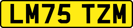 LM75TZM