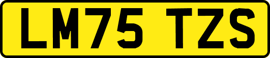 LM75TZS