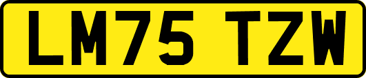 LM75TZW