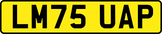 LM75UAP