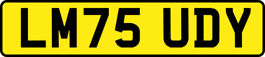 LM75UDY