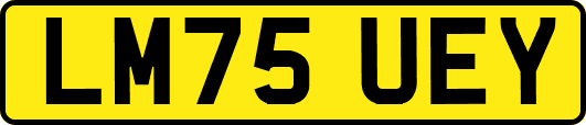 LM75UEY
