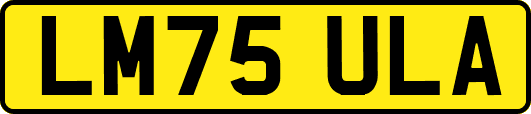 LM75ULA