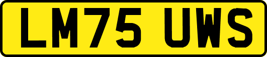 LM75UWS