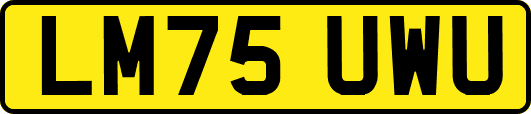 LM75UWU