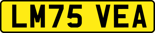 LM75VEA