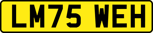 LM75WEH