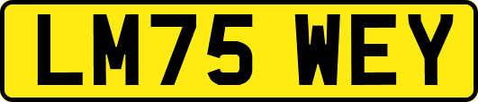 LM75WEY