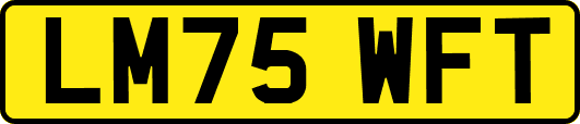 LM75WFT