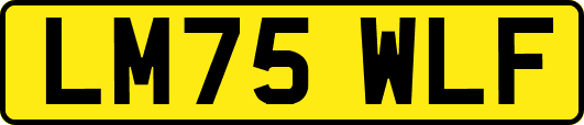 LM75WLF