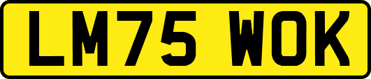 LM75WOK