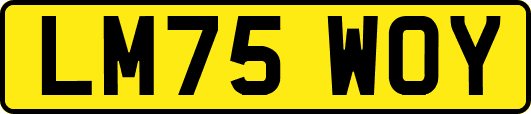 LM75WOY