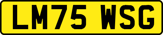LM75WSG