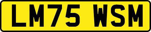 LM75WSM