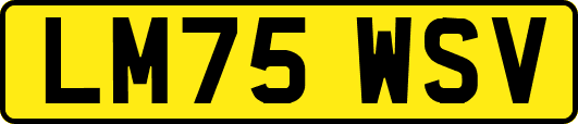 LM75WSV