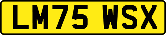 LM75WSX