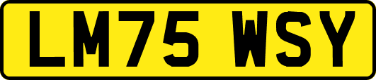 LM75WSY