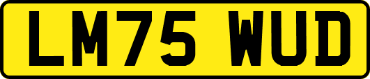 LM75WUD