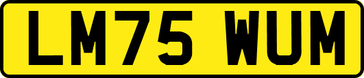 LM75WUM