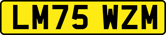 LM75WZM