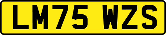LM75WZS