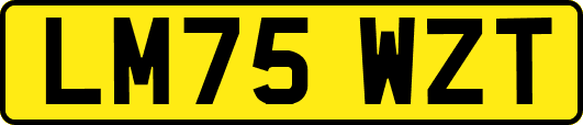 LM75WZT