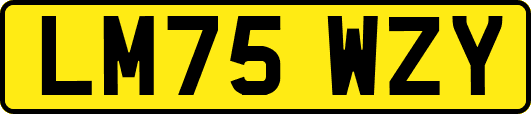 LM75WZY
