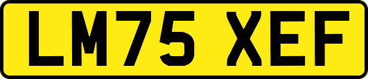 LM75XEF