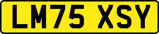 LM75XSY