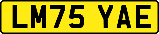 LM75YAE