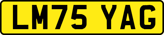 LM75YAG