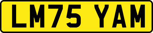 LM75YAM