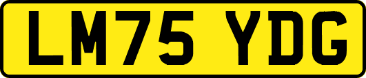 LM75YDG