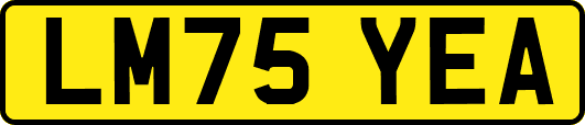 LM75YEA