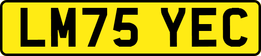 LM75YEC