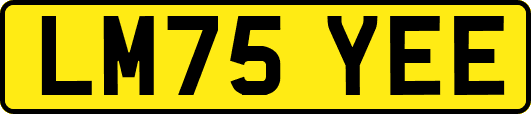 LM75YEE