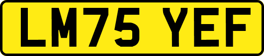 LM75YEF