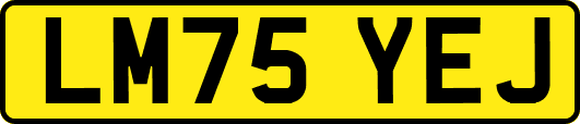 LM75YEJ