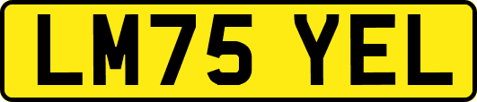 LM75YEL