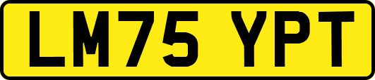 LM75YPT