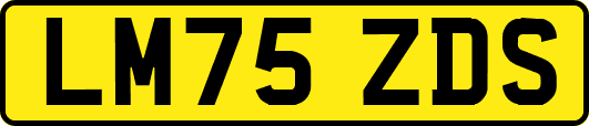 LM75ZDS