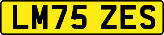 LM75ZES